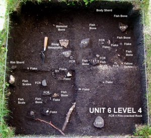 2004 © Unit 6 Level 4